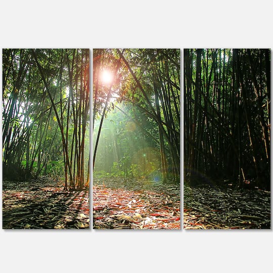 Designart - Amazing Green Forest at Sunset - Landscape Canvas Art Print | Michaels®